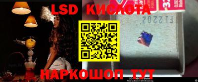 молекула духа Будённовск