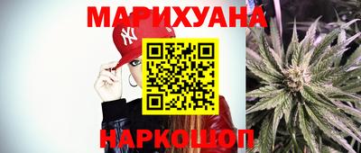 молекула духа Будённовск