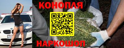 молекула духа Будённовск