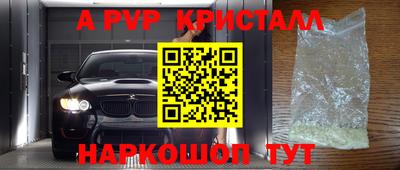 молекула духа Будённовск