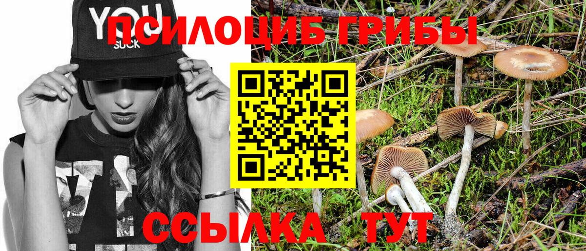 Псилоцибиновые грибы ЛСД Магадан